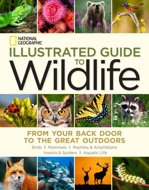 National Geographic Illustrated Guide to Wildlife From Your Back Door to the Great Outdoors