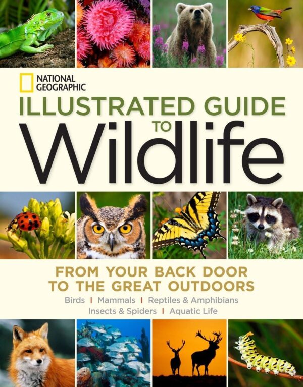 National Geographic Illustrated Guide to Wildlife From Your Back Door to the Great Outdoors